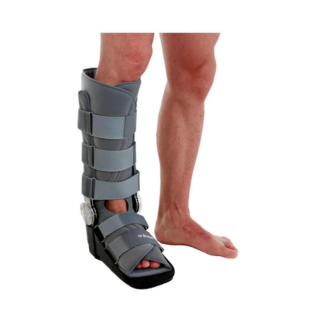BOTA ROM