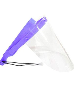 PROTECTOR FACIAL + 10 MICAS